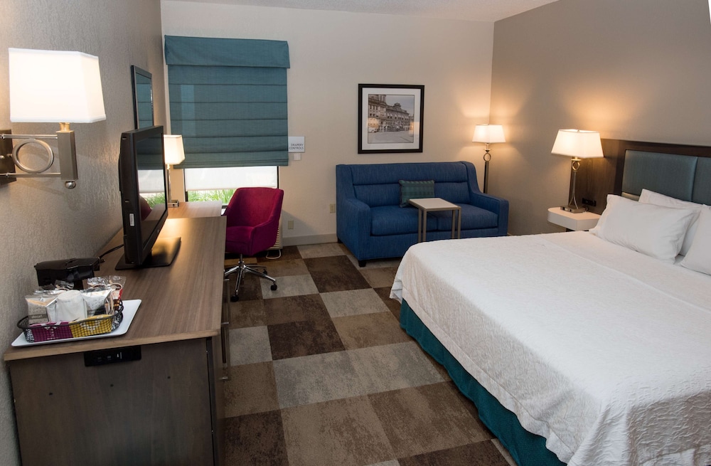 Room, 1 King Bed with Sofa bed, Accessible (Mobility & Hearing, Roll-in Shower) photo 1