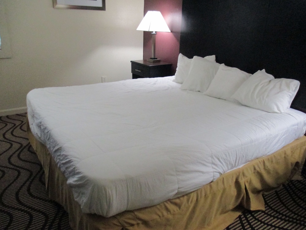 Room, 1 King Bed photo 3