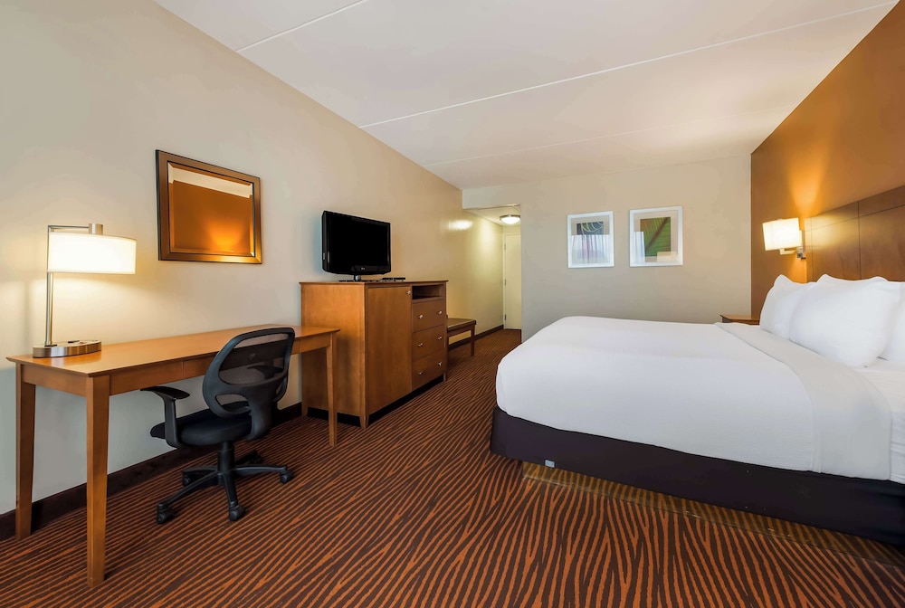 Suite, 1 King Bed, Non Smoking, Refrigerator & Microwave (with Sofabed) - Photo 5