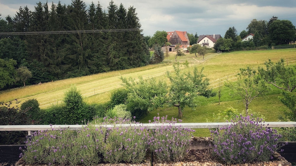Business Apartment, Garden View photo 3