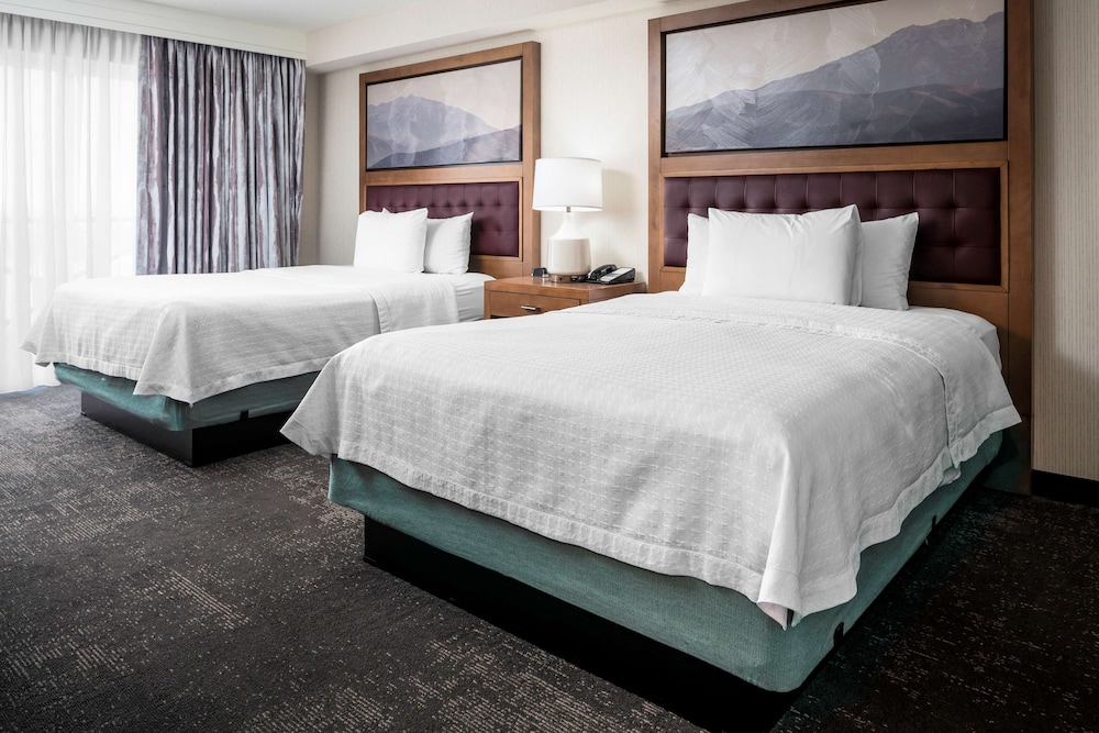 Studio Suite, 2 Queen Beds photo 3