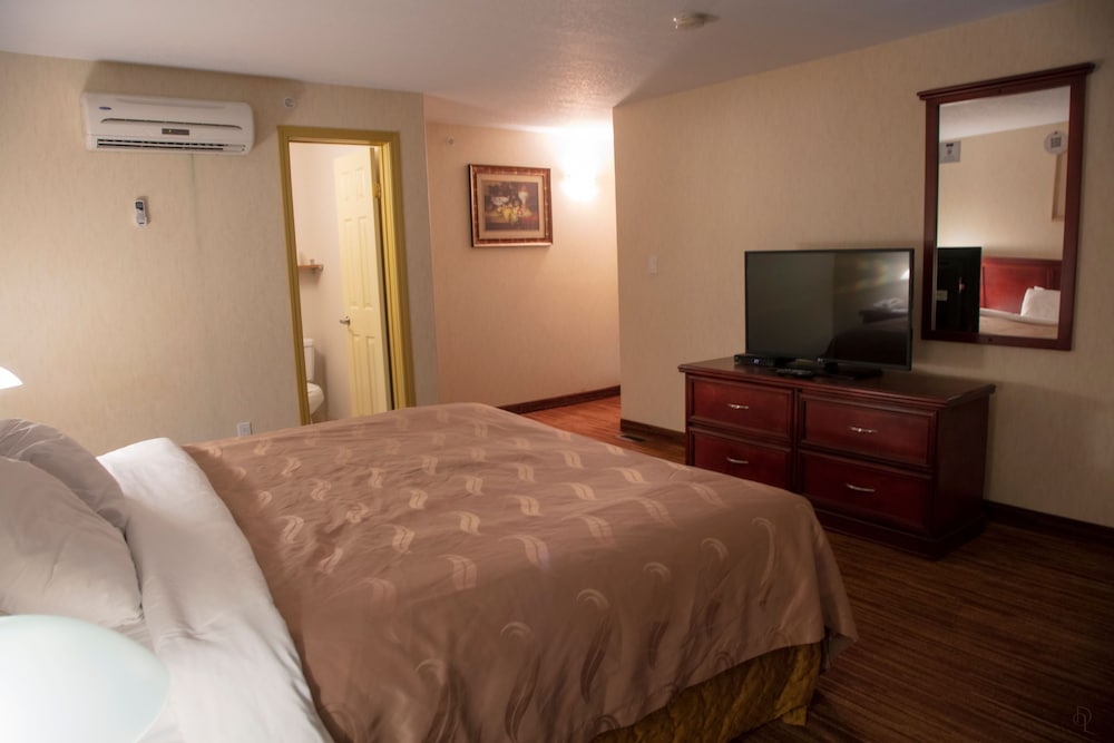 Presidential Suite, 1 King Bed, Non Smoking, Fireplace, 1 bedroom