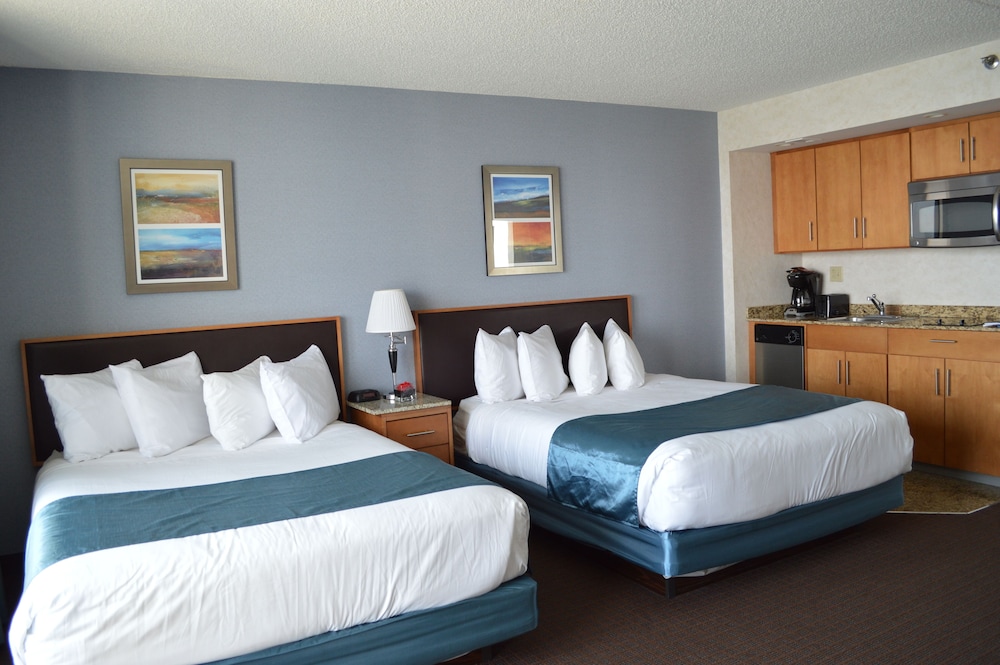 Studio Suite, 2 Double Beds, Kitchenette photo 1