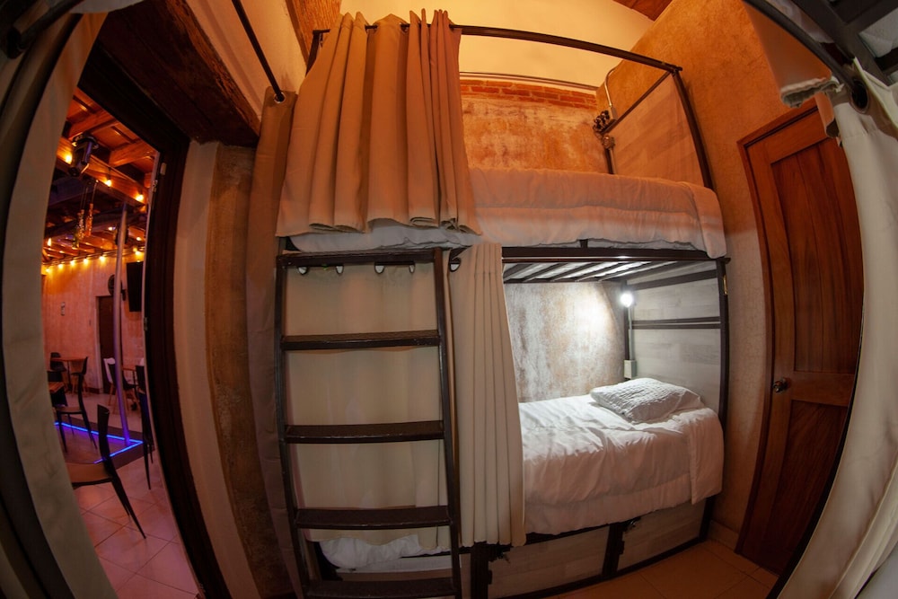 Standard Shared Dormitory photo 1
