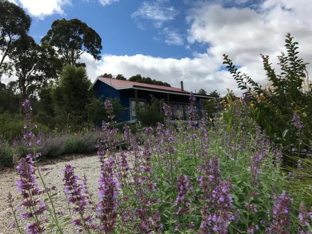 Deluxe Cottage, 1 Queen Bed with Sofa bed, Vineyard View photo 2