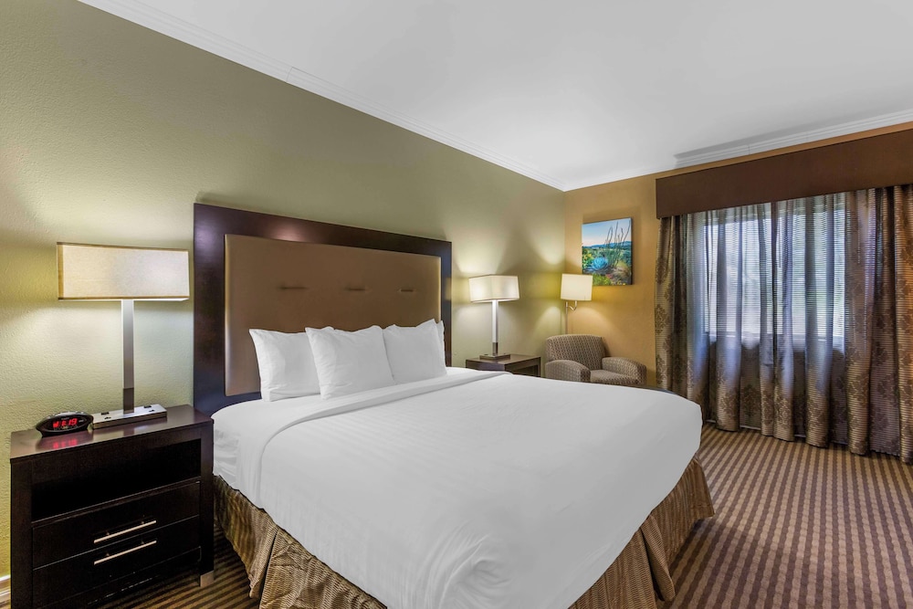Suite, 1 King Bed, Non Smoking, Refrigerator - Photo 2