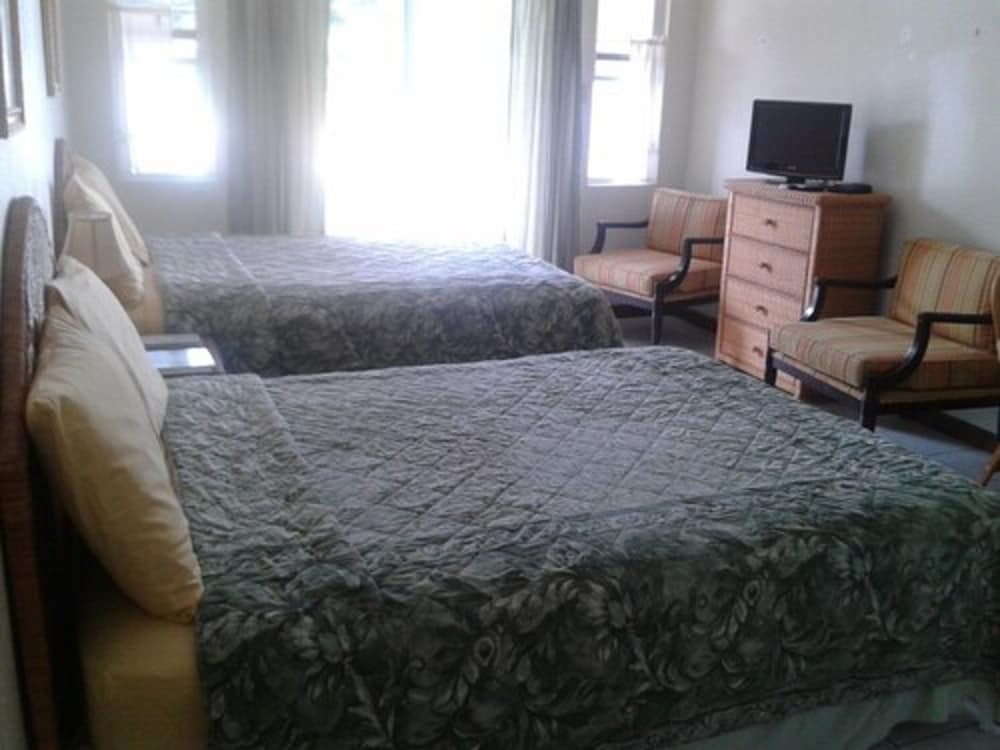 Classic Studio, Multiple Beds, Kitchen photo 2