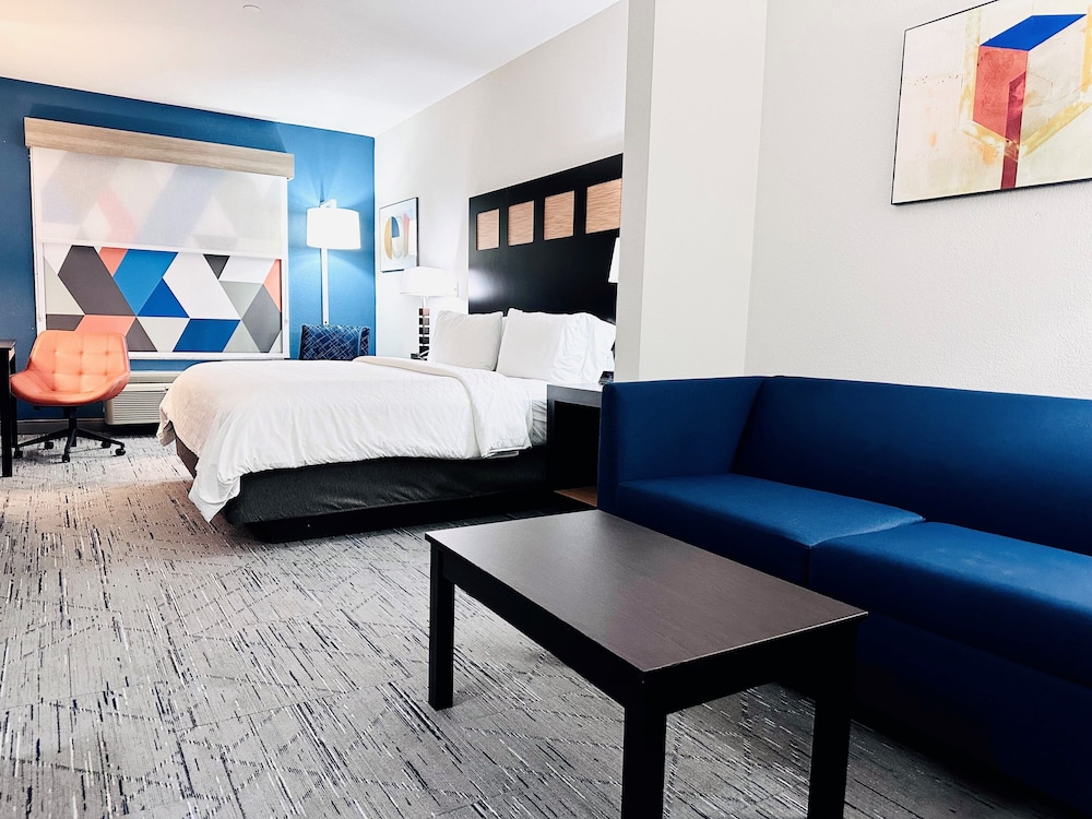 Suite, 1 King Bed with Sofa bed photo 1