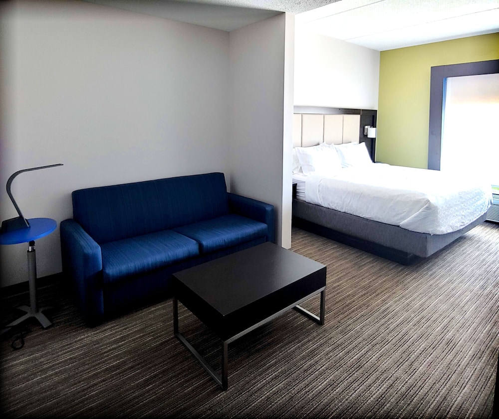 Suite, 1 King Bed, Accessible (Mobil Roll Shwr) - Photo 6