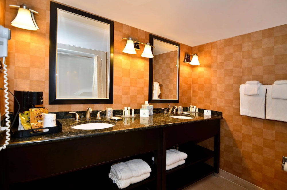 Business Suite, 1 King Bed, Non Smoking, Microwave photo 3