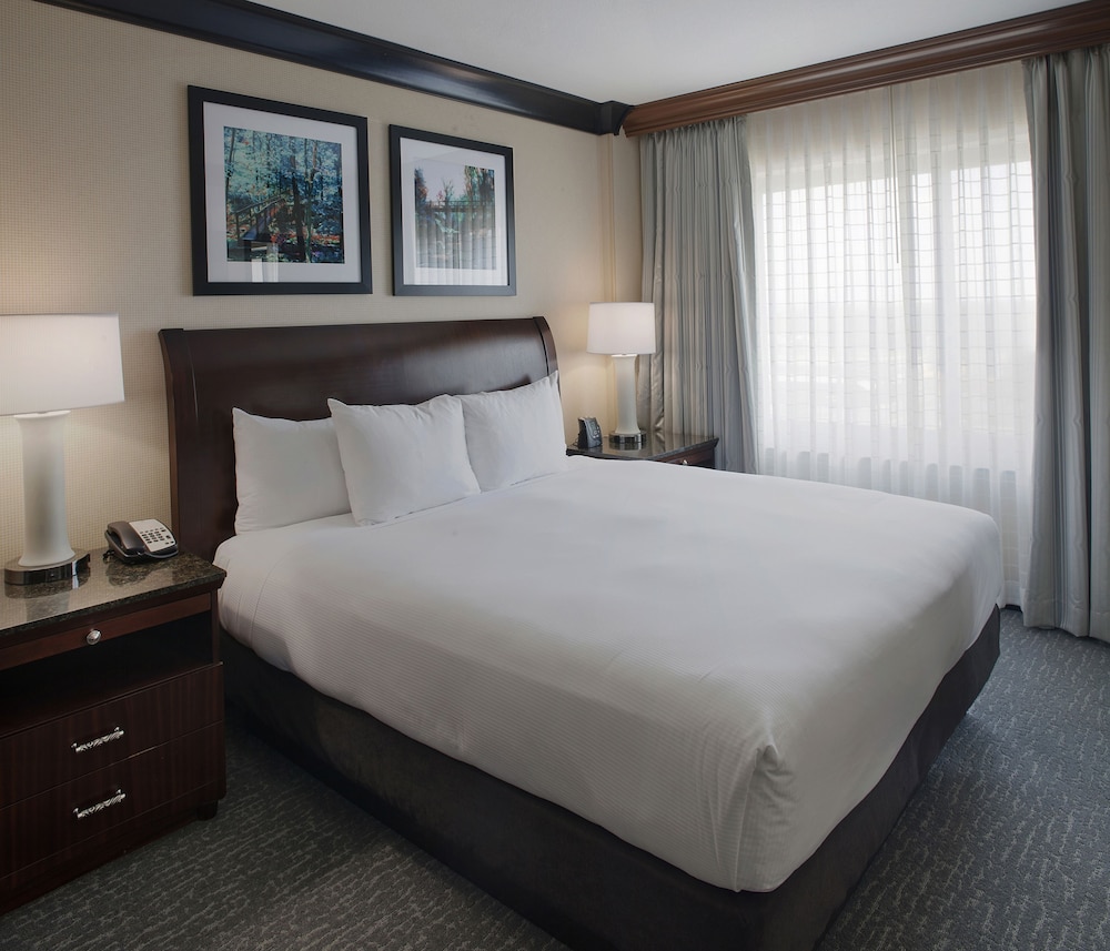 Suite, 1 King Bed, Accessible - Photo 1