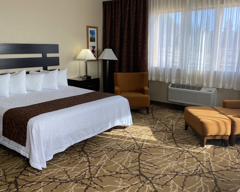 Suite, 1 King Bed, Lake View