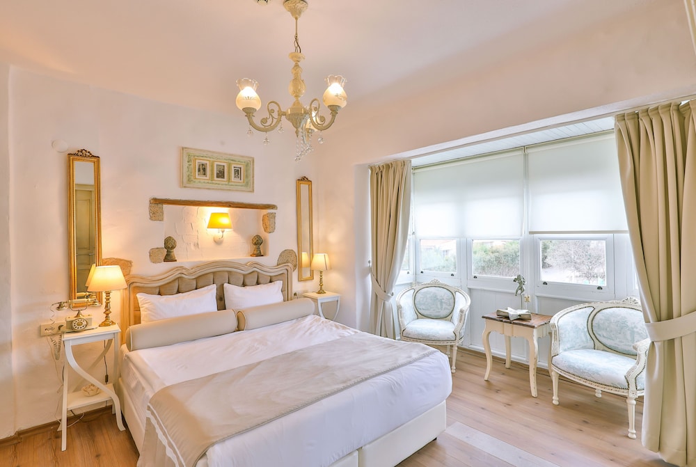 Superior Double Room photo 2