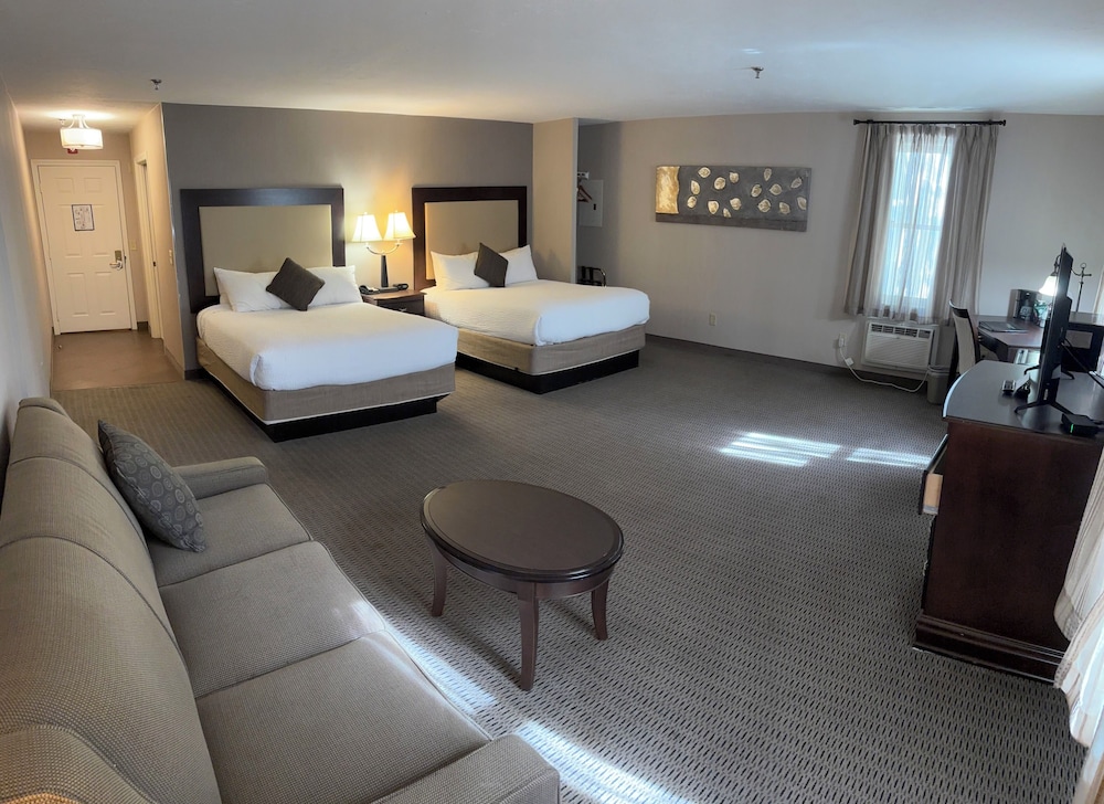 Single Room, Multiple Beds, Roll-in Shower photo 2