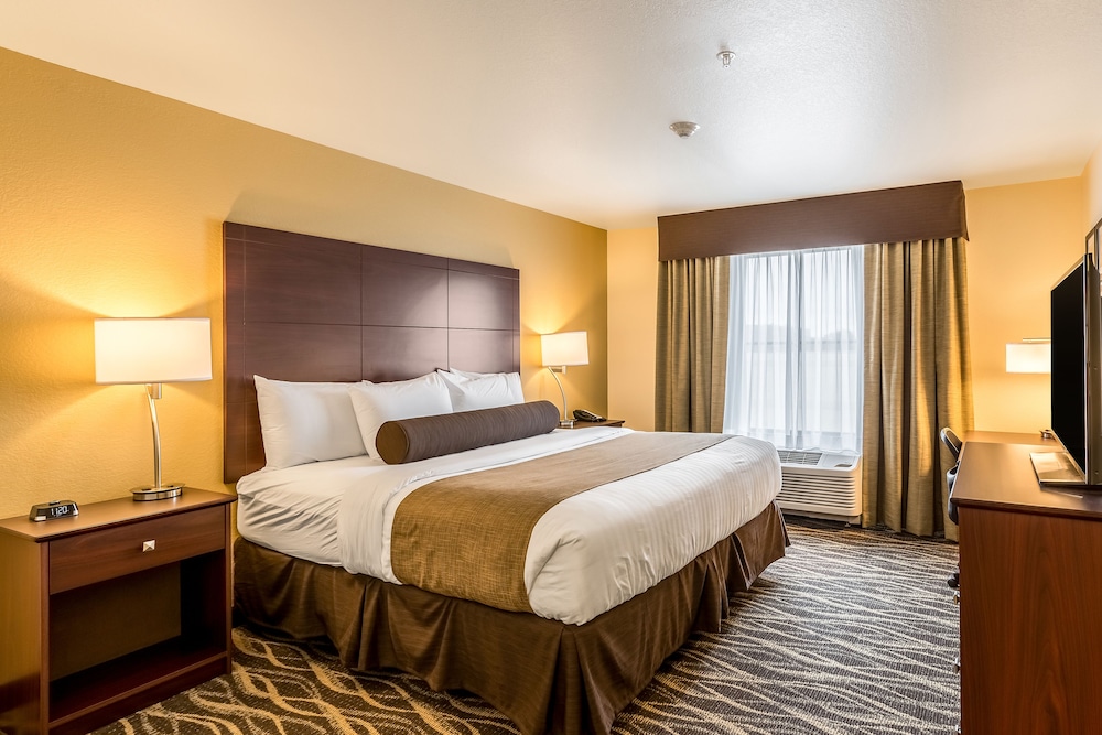 Room, 1 King Bed, Non Smoking photo 1