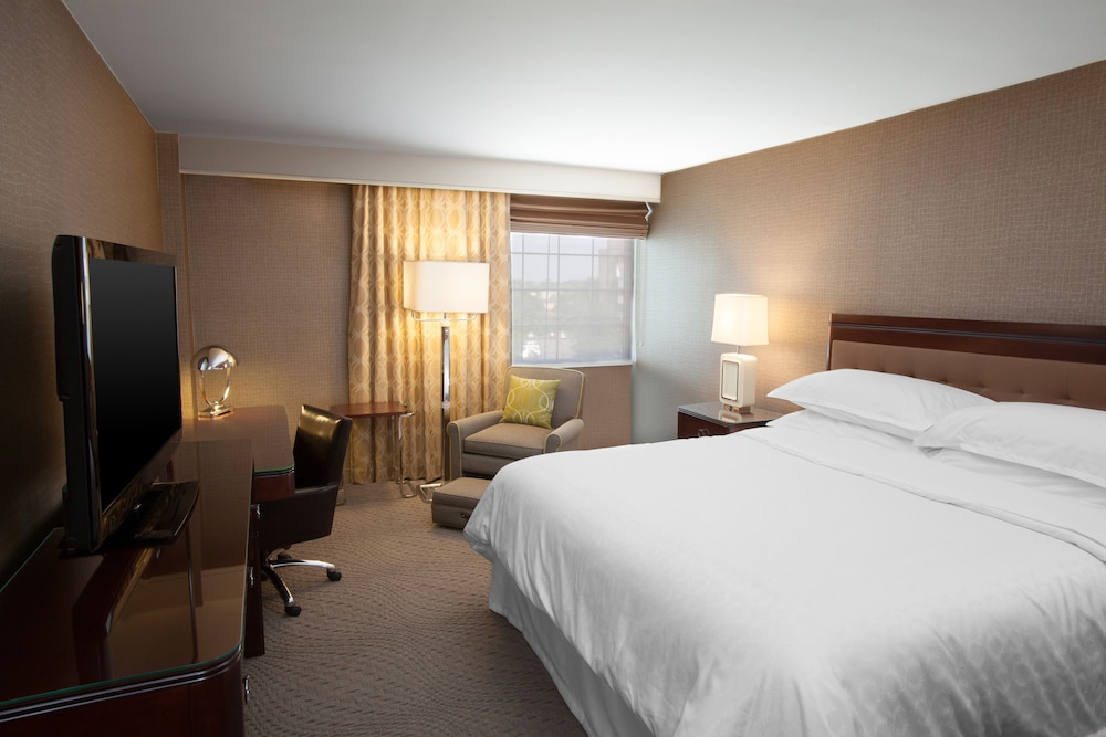 Room, 1 King Bed (Mobility Accessible, Roll-In Shower) photo 2