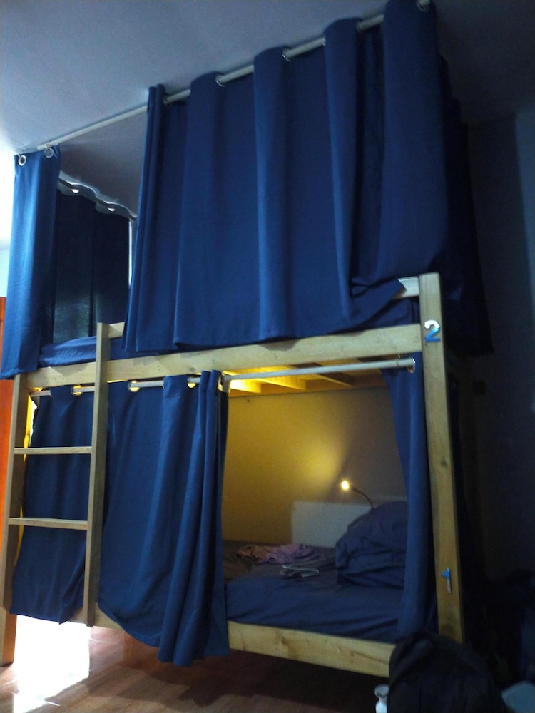 Comfort Shared Dormitory photo 3