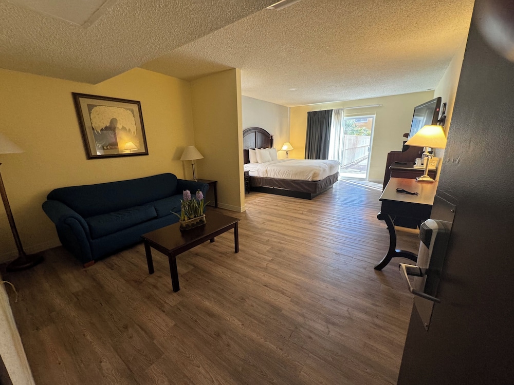 Single Room, 1 King Bed with Sofa bed photo 1