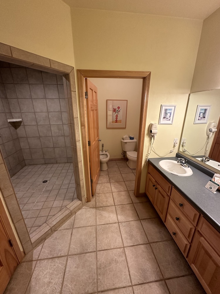 Comfort Suite photo 1