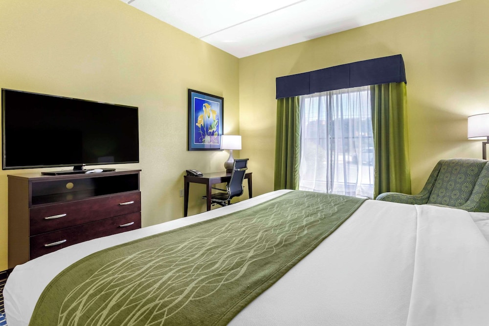 Suite, 1 King Bed, Non Smoking photo 2