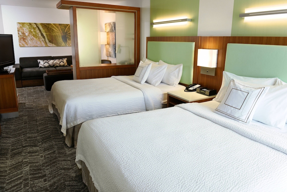 Studio, Multiple Beds - Photo 1