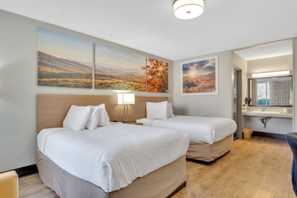 Economy Room photo 1