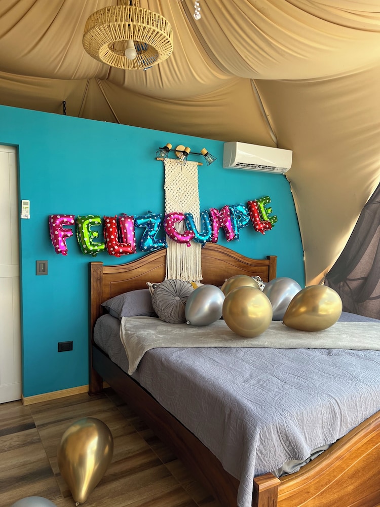 Basic Apartment, 1 King Bed, Ensuite, Mountain View photo 1