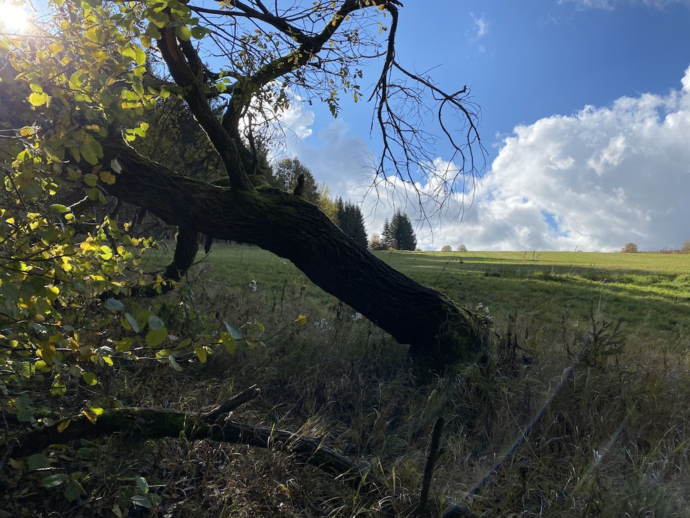 Appartementhaus Alla Prateria, Foto 88