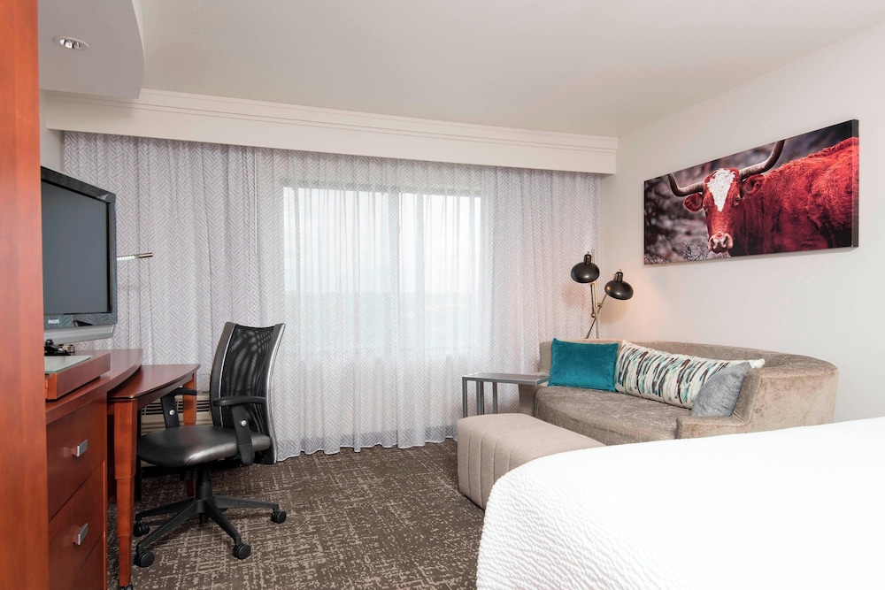 Room, 1 King Bed with Sofa bed (Mobility Accessible, Tub)