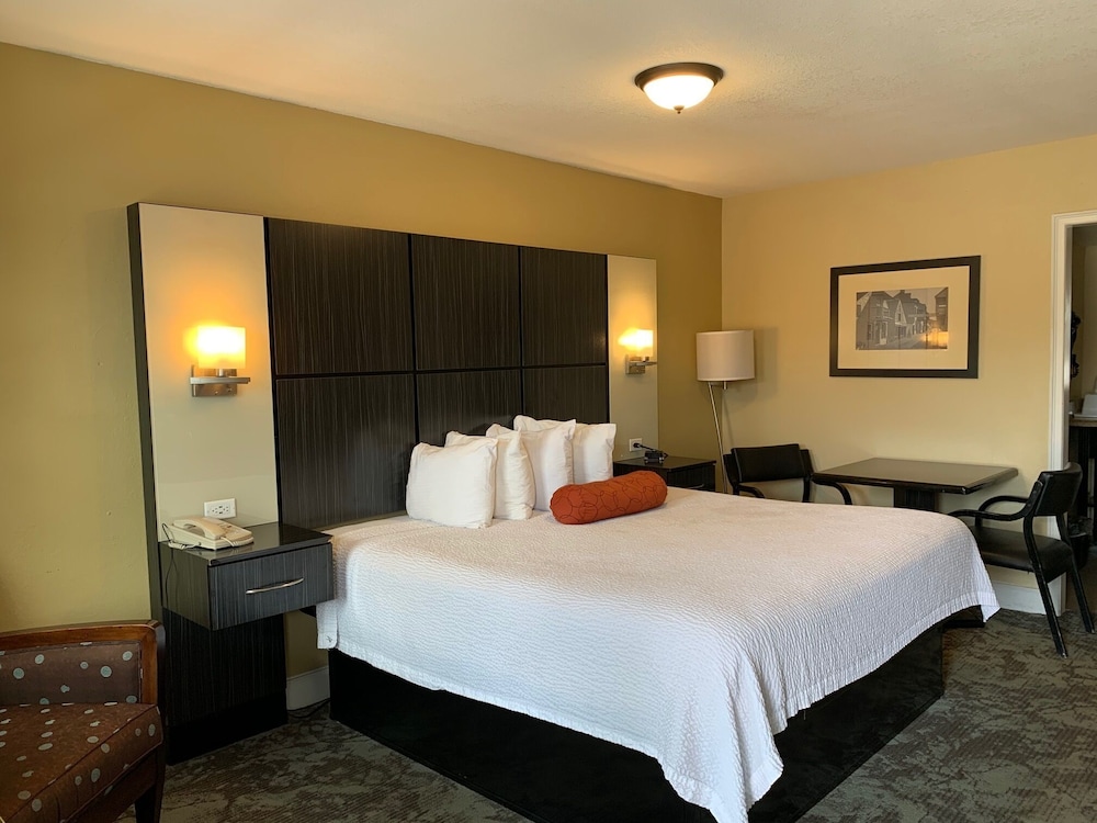 Standard Room, 1 King Bed, Non Smoking