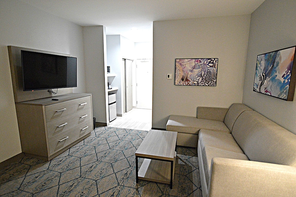 Suite, 1 King Bed, Non Smoking, Kitchenette (Shower Only;with Sofabed) - Photo 3