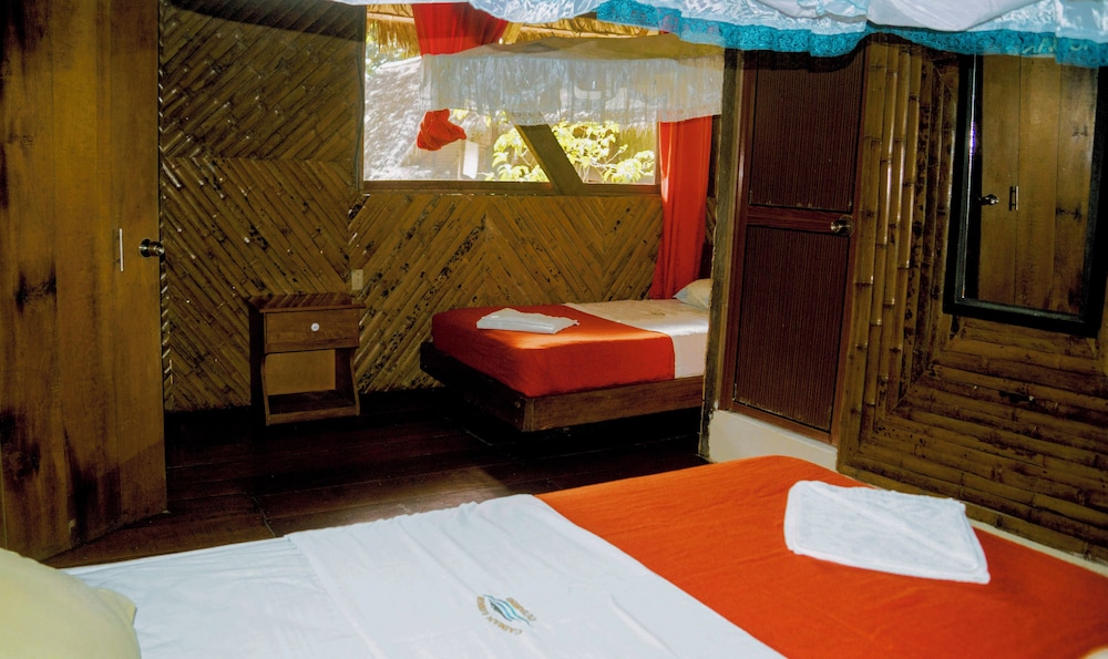 Superior Shared Dormitory, Mixed Dorm, Garden View