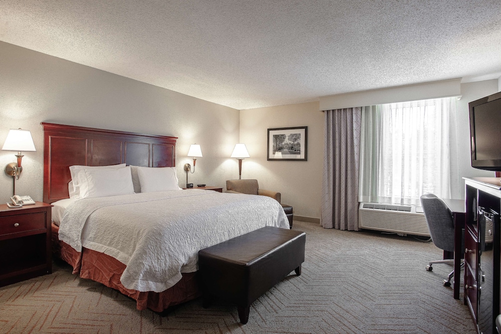 Room, 1 King Bed, Non Smoking (Shower Only) - Photo 1