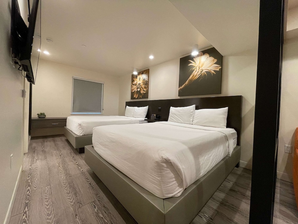 Suite, 2 Queen Beds, Non Smoking, Refrigerator & Microwave - Photo 2