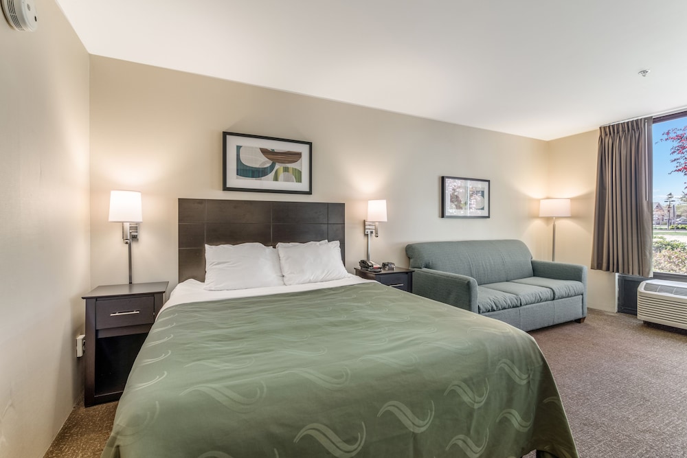 Standard Room, 1 Queen Bed with Sofa bed, Non Smoking photo 1