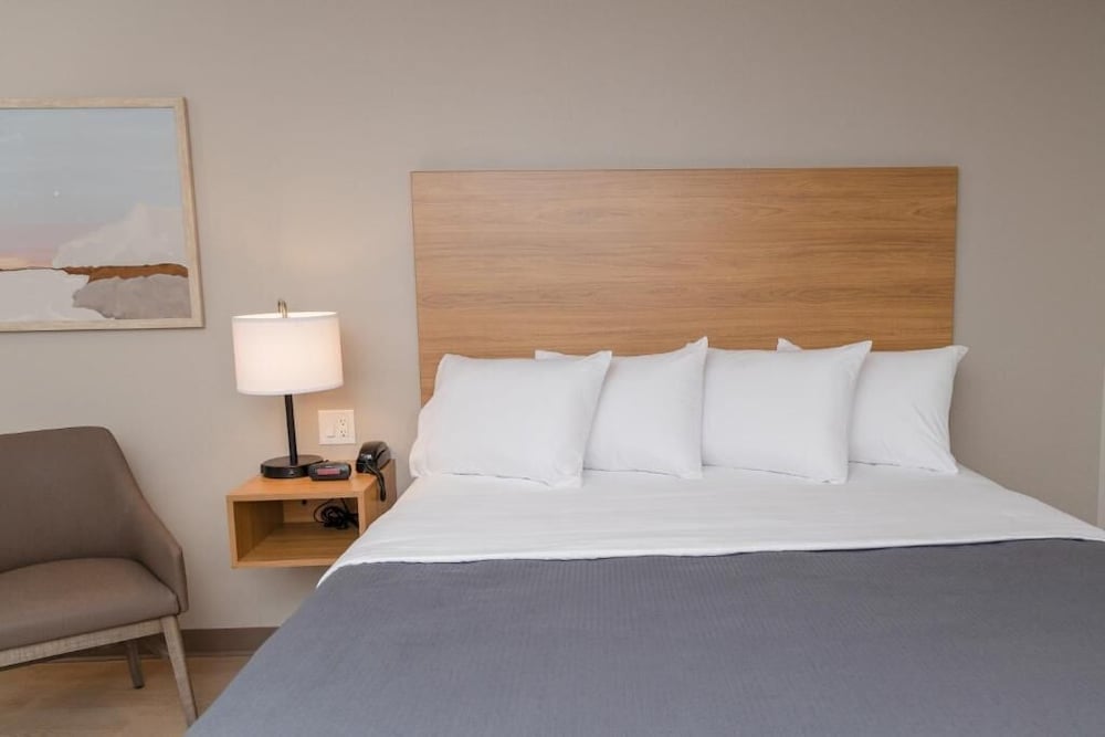 Studio Suite, 1 King Bed photo 2