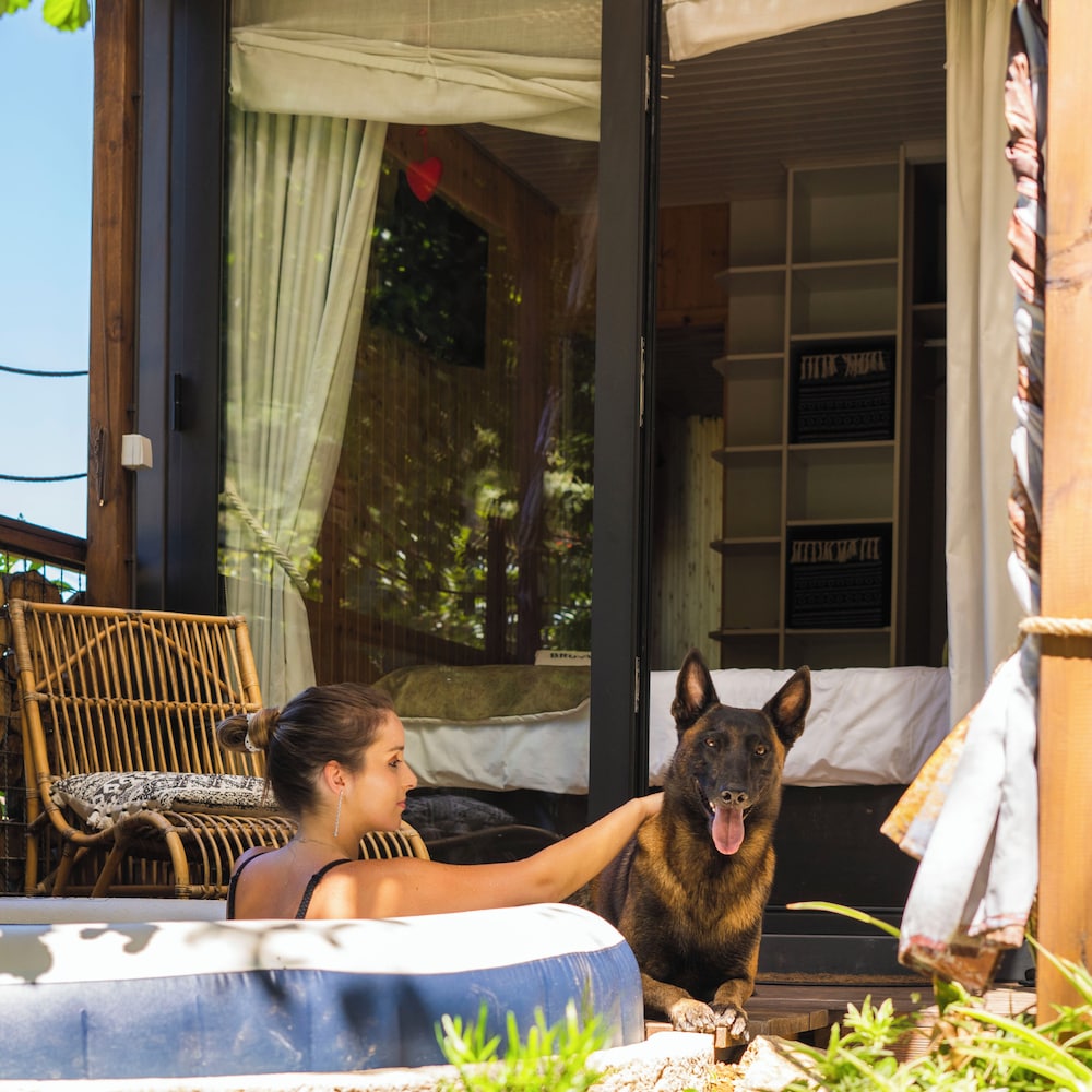 Romantic Bungalow, Kitchen, Garden View photo 3