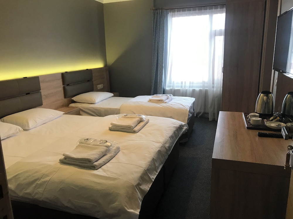 Classic Double or Twin Room, Mountain View photo 2
