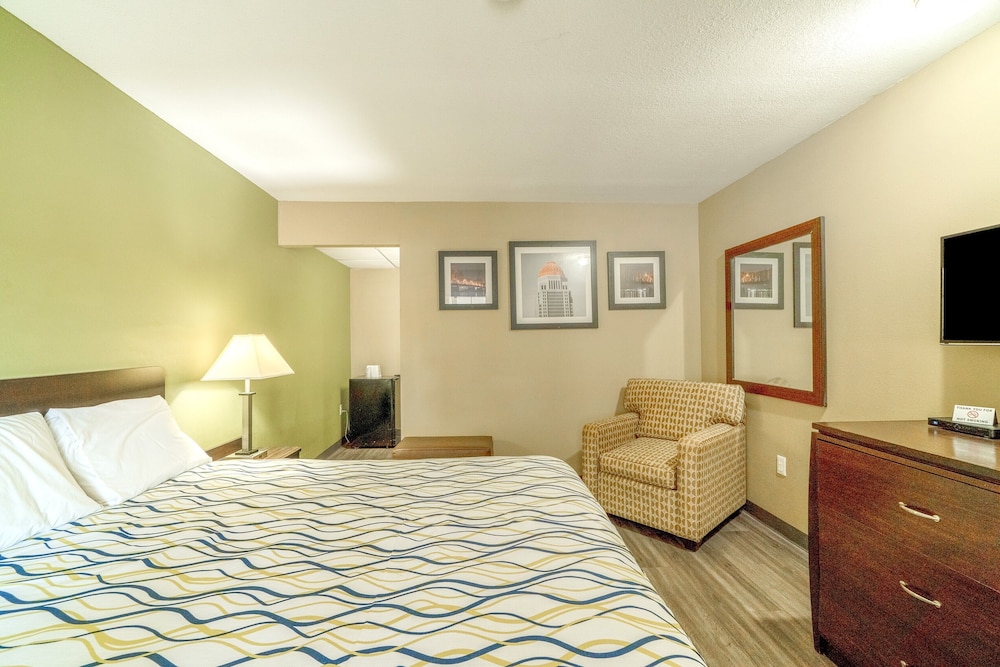 Room, 1 King Bed, Smoking photo 3