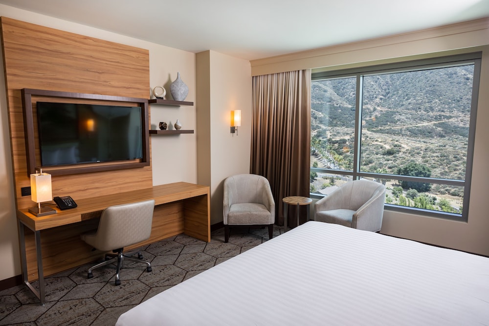 Deluxe Room, 1 King Bed (21 or older only) photo 3