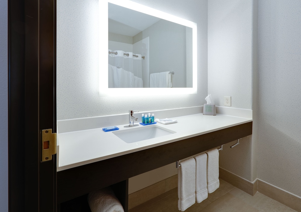 Suite, 1 King Bed (Mini) - Photo 4