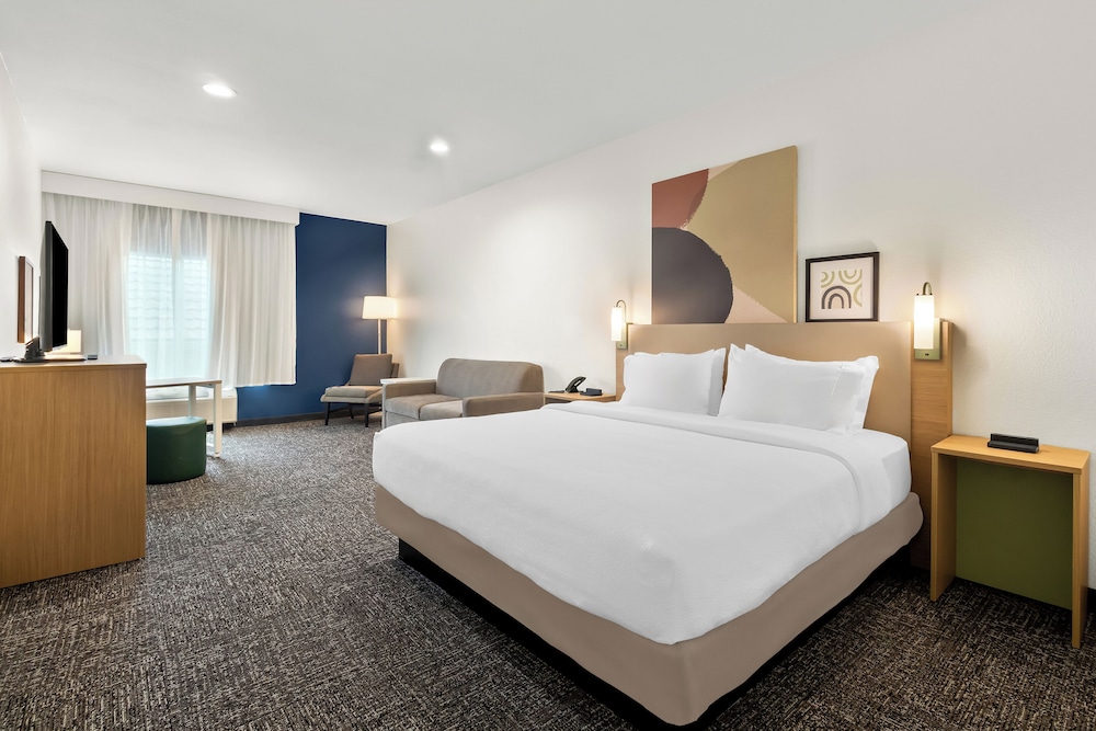 Room, 1 King Bed with Sofa bed photo 1