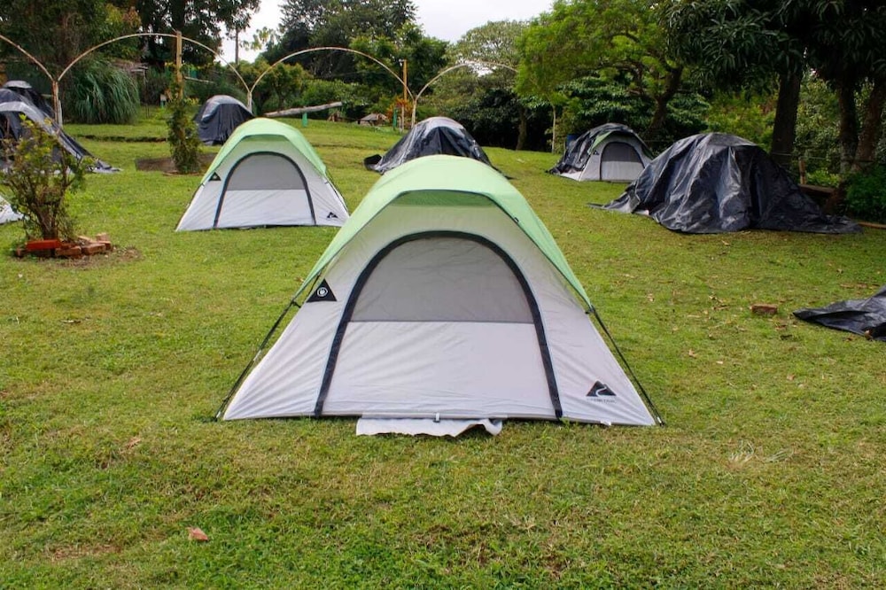 Basic Tent photo 1