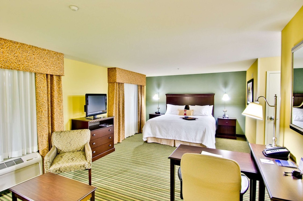 Studio, One King Bed, Accessible - Photo 5