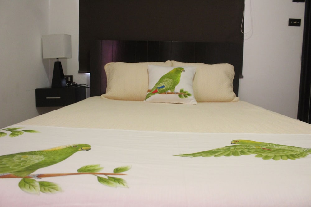 Habitacion Sencilla photo 2