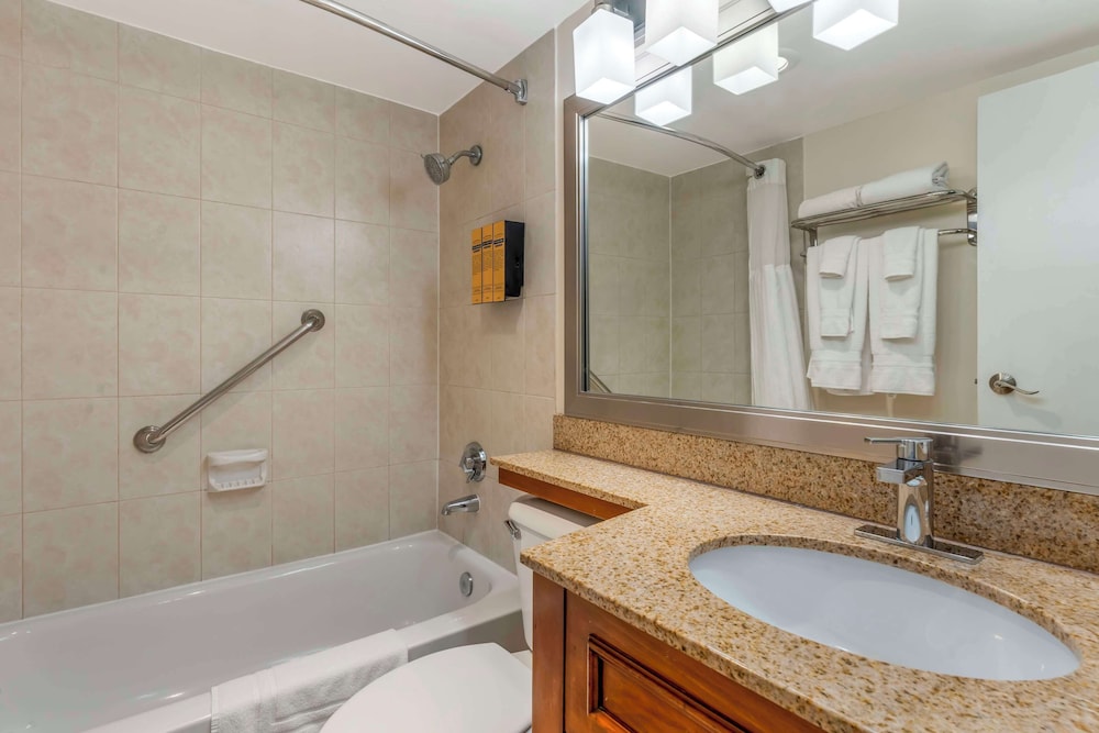 Suite, 1 Queen Bed, Non Smoking, Refrigerator & Microwave (with Sofabed) - Photo 4