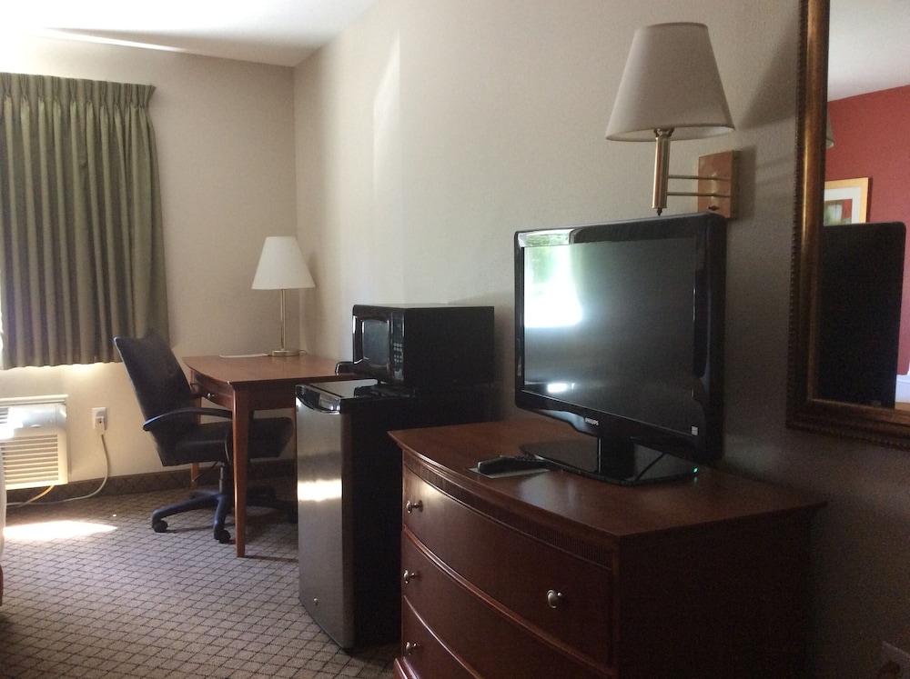 Basic Single Room photo 3