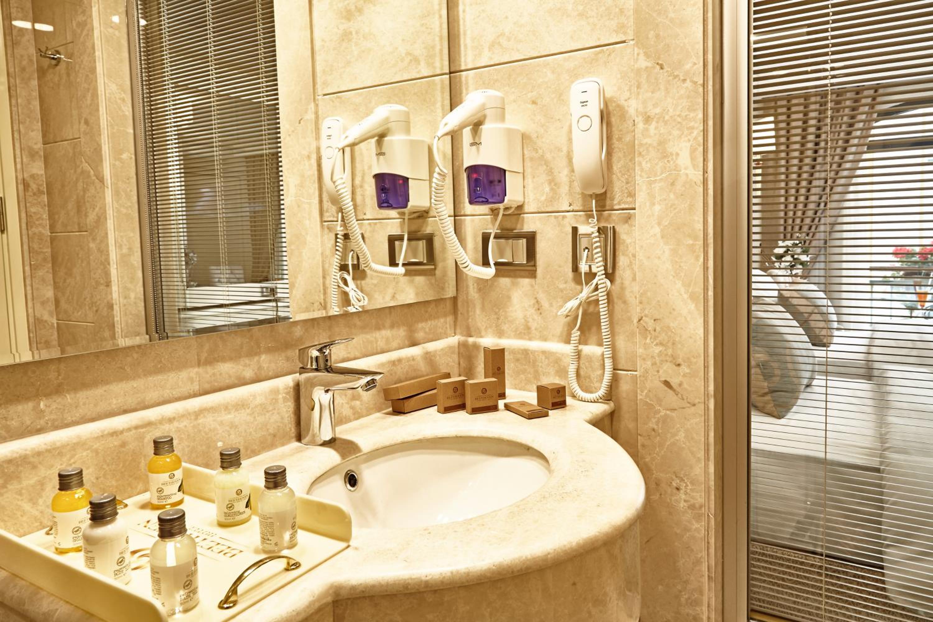 Deluxe Double Room with French Balcony photo 3