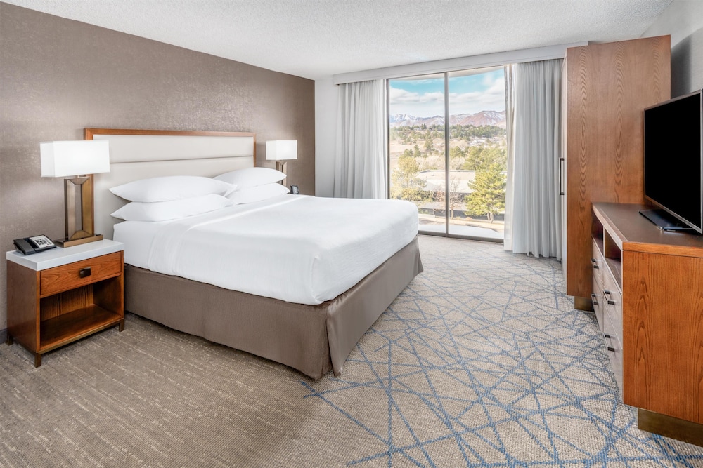 Room, 1 King Bed, Mountain View