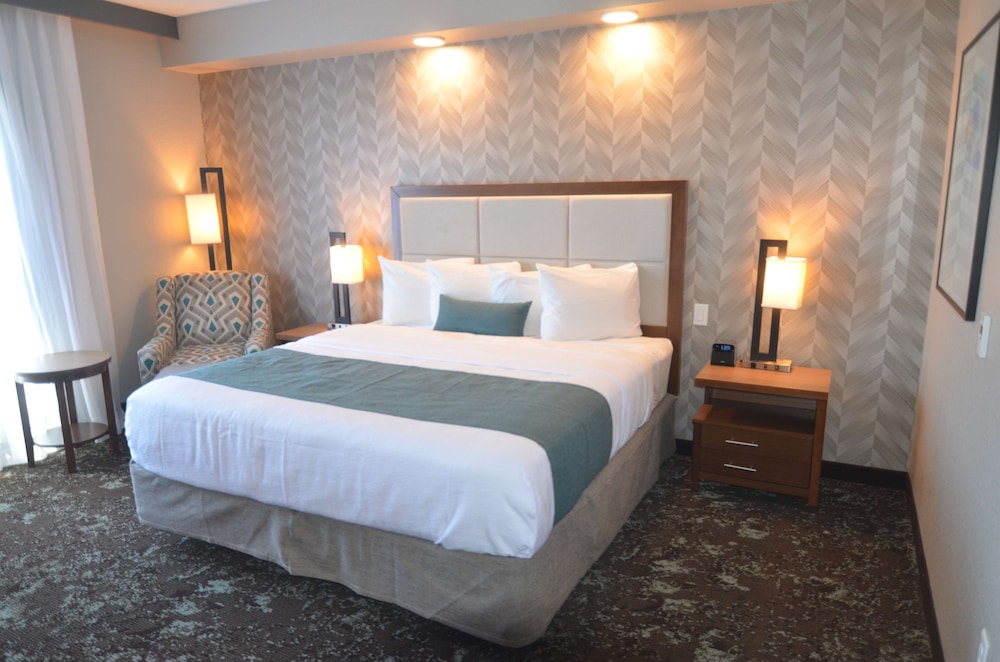 Standard Room, 1 King Bed, Accessible, Refrigerator & Microwave